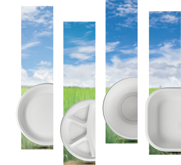 Titanium Tableware pvt. ltd.